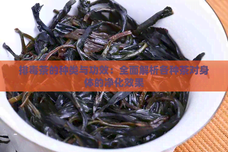 排茶的种类与功效：全面解析各种茶对身体的净化效果