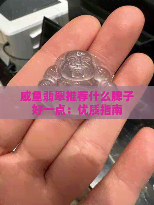 咸鱼翡翠推荐什么牌子好一点：优质指南