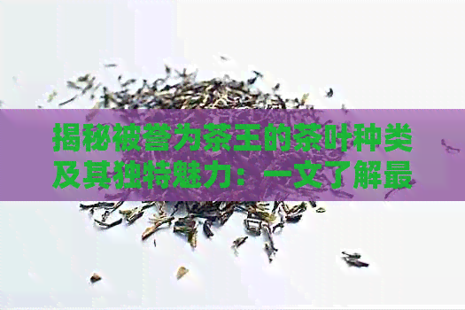 揭秘被誉为茶王的茶叶种类及其独特魅力：一文了解更受欢迎的茶王品种