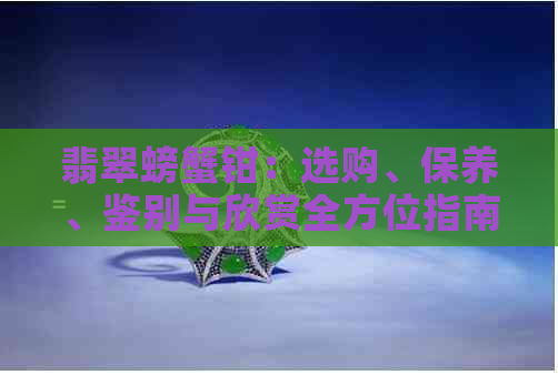 翡翠螃蟹钳：选购、保养、鉴别与欣赏全方位指南