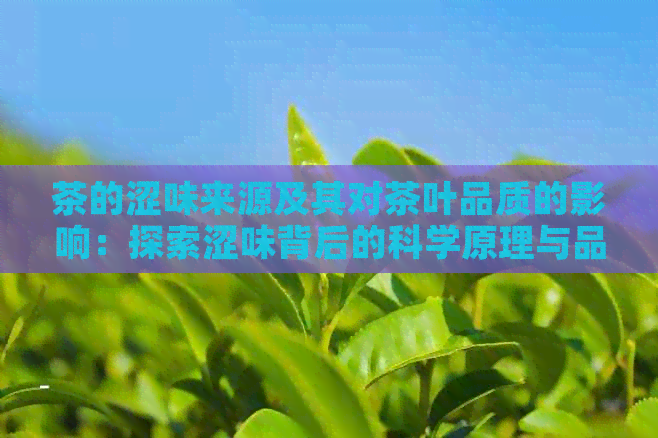 茶的涩味来源及其对茶叶品质的影响：探索涩味背后的科学原理与品茶技巧