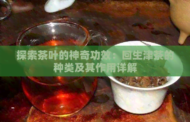 探索茶叶的神奇功效：回生津茶的种类及其作用详解