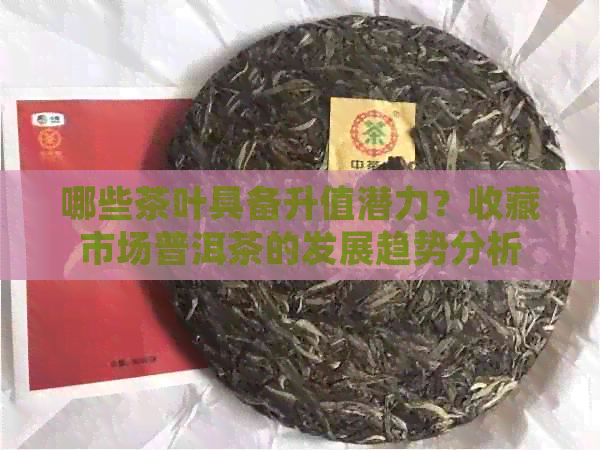 哪些茶叶具备升值潜力？收藏市场普洱茶的发展趋势分析