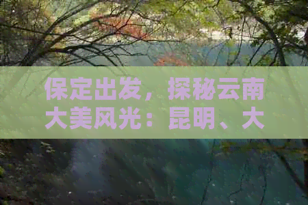 保定出发，探秘云南大美风光：昆明、大理、丽江深度游攻略与费用详解