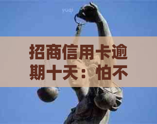 招商信用卡逾期十天：怕不怕投诉及解决办法