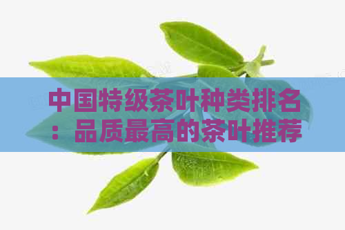 中国特级茶叶种类排名：品质更高的茶叶推荐