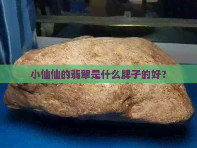 小仙仙的翡翠是什么牌子的好？