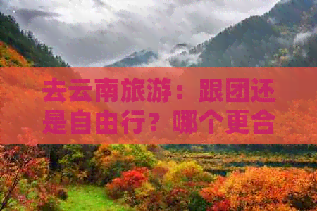 去云南旅游：跟团还是自由行？哪个更合适？