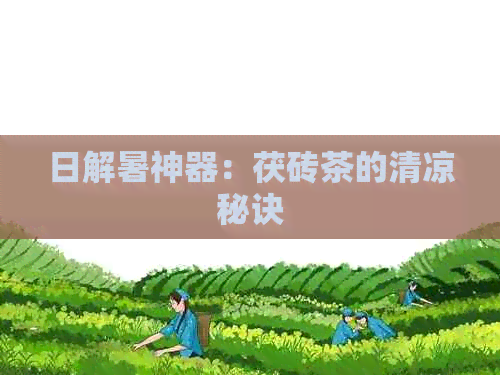 日解暑神器：茯砖茶的清凉秘诀