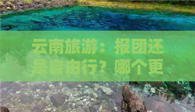 云南旅游：报团还是自由行？哪个更适合你？对比分析与建议