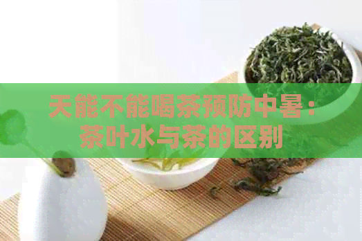 天能不能喝茶预防中暑：茶叶水与茶的区别