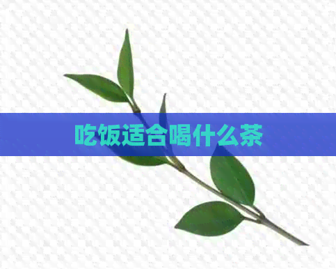 吃饭适合喝什么茶