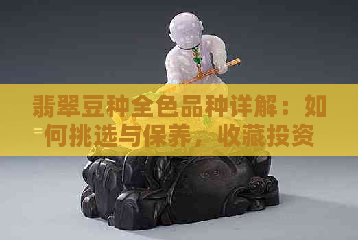 翡翠豆种全色品种详解：如何挑选与保养，收藏投资指南