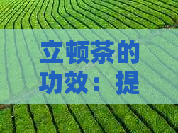 立顿茶的功效：提神还是助眠？全面解析立顿茶的药理作用和适用人群