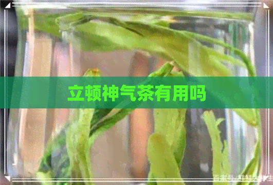 立顿神气茶有用吗