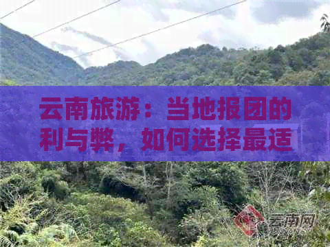 云南旅游：当地报团的利与弊，如何选择最适合自己的旅行方式？