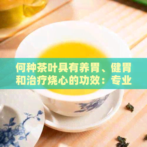 何种茶叶具有养胃、健胃和治疗烧心的功效：专业指南