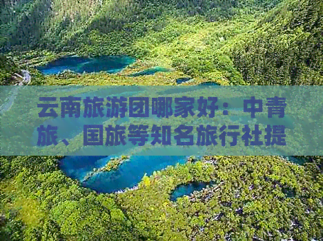 云南旅游团哪家好：中青旅、国旅等知名旅行社提供优质服务与丰富体验