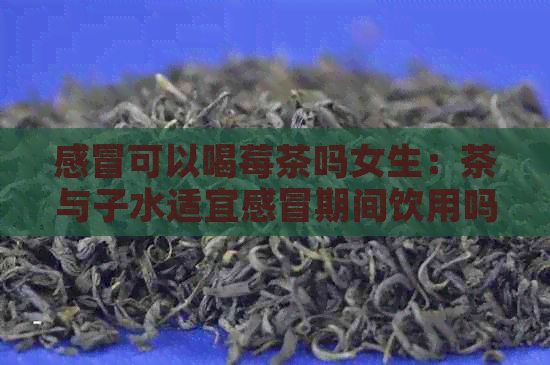 感冒可以喝莓茶吗女生：茶与子水适宜感冒期间饮用吗