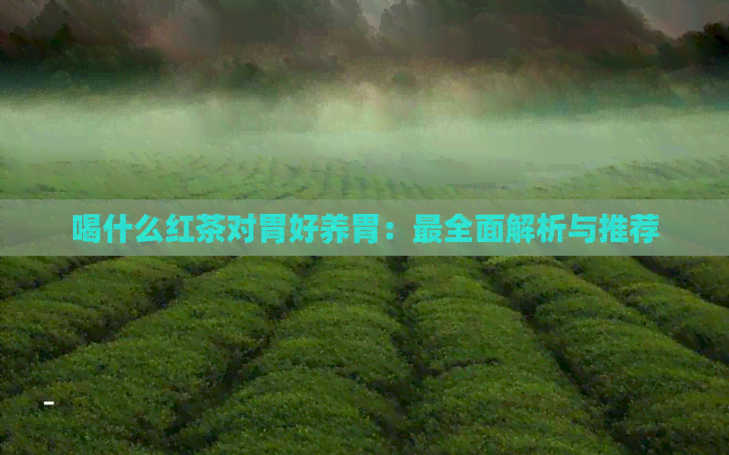 喝什么红茶对胃好养胃：最全面解析与推荐