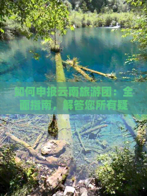 如何申报云南旅游团：全面指南，解答您所有疑问