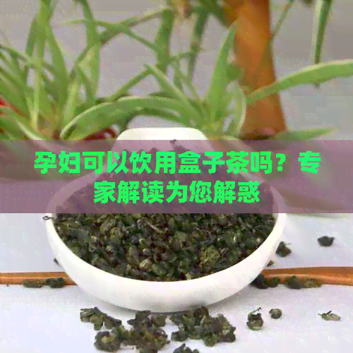 孕妇可以饮用盒子茶吗？专家解读为您解惑