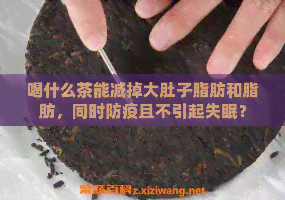 喝什么茶能减掉大肚子脂肪和脂肪，同时防疫且不引起失眠？