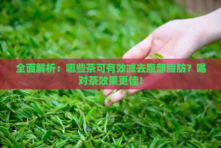 全面解析：哪些茶可有效减去腹部脂肪？喝对茶效果更佳！