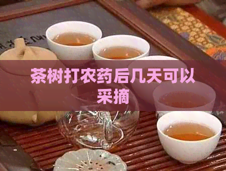 茶树打农药后几天可以采摘