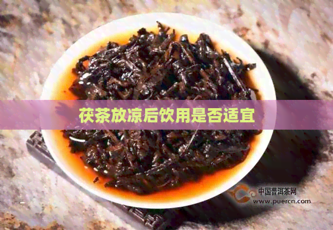 茯茶放凉后饮用是否适宜