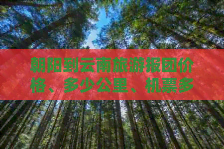 朝阳到云南旅游报团价格、多少公里、机票多少钱、飞机及昆明相关信息。