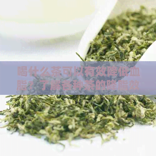 喝什么茶可以有效降低血脂？了解各种茶的降脂效果及其适用人群