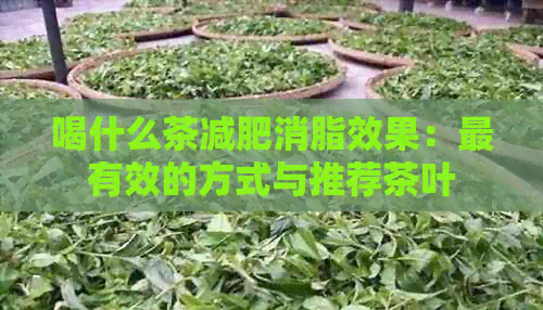 喝什么茶减肥消脂效果：最有效的方式与推荐茶叶