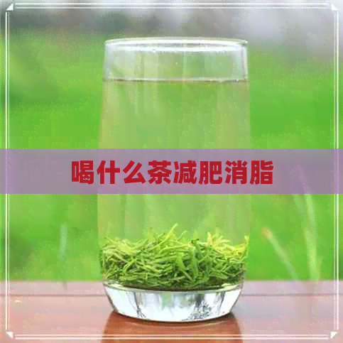 喝什么茶减肥消脂