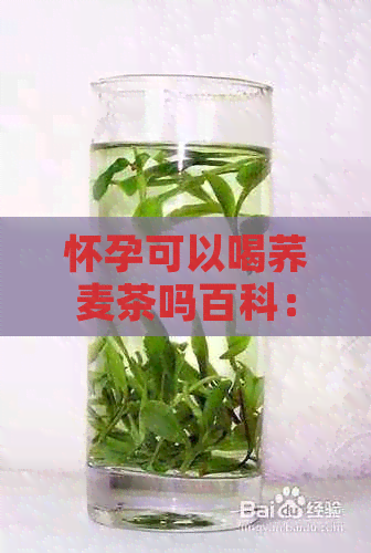 怀孕可以喝荞麦茶吗百科：怀孕期间能喝荞麦茶吗？