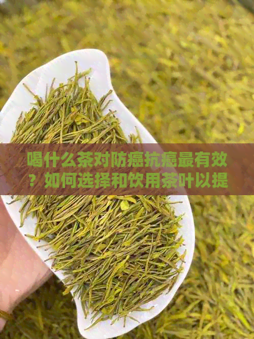 喝什么茶对防癌抗癌最有效？如何选择和饮用茶叶以提高抗癌效果？