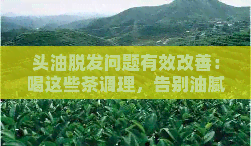 头油脱发问题有效改善：喝这些茶调理，告别油腻与稀疏发质