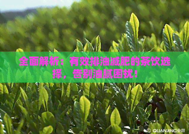 全面解析：有效排油减肥的茶饮选择，告别油腻困扰！