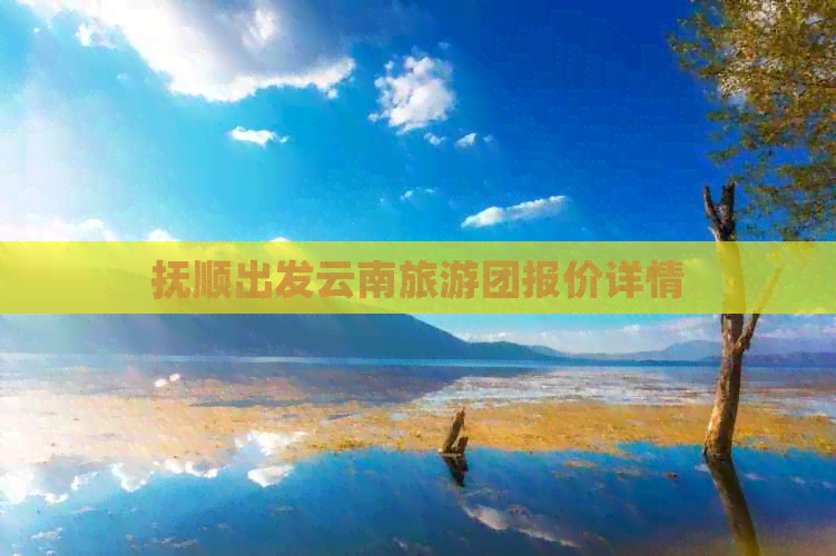 抚顺出发云南旅游团报价详情