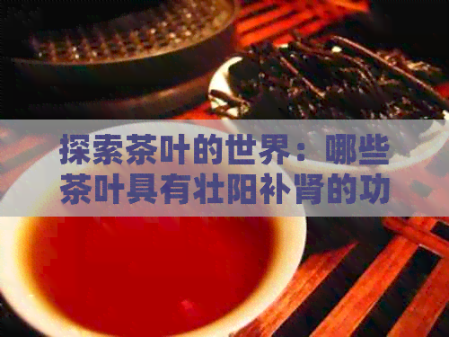 探索茶叶的世界：哪些茶叶具有壮阳补肾的功效？