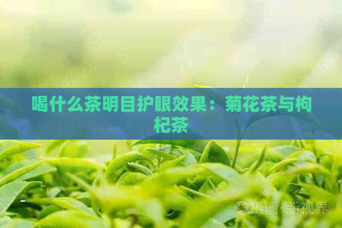 喝什么茶明目护眼效果：菊花茶与枸杞茶