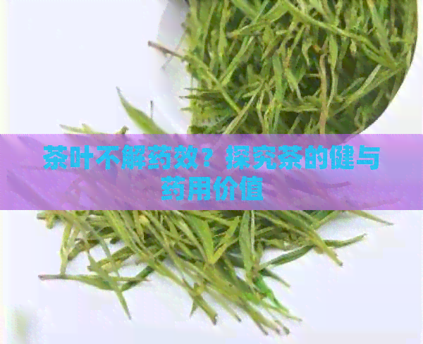 茶叶不解药效？探究茶的健与药用价值