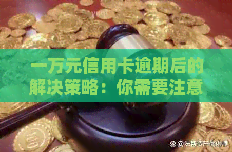 一万元信用卡逾期后的解决策略：你需要注意的关键要点