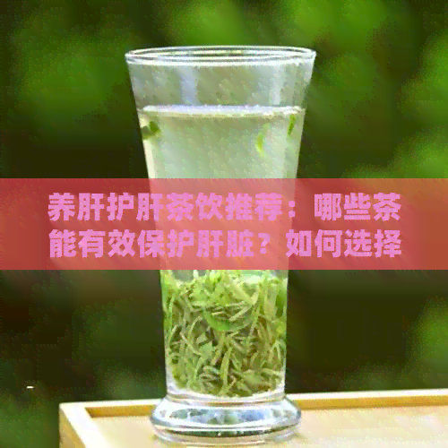 养肝护肝茶饮推荐：哪些茶能有效保护肝脏？如何选择合适的茶品？