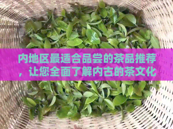 内地区最适合品尝的茶品推荐，让您全面了解内古的茶文化