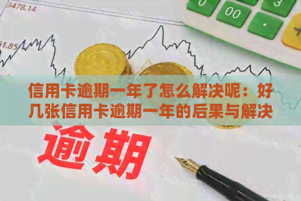 信用卡逾期一年了怎么解决呢：好几张信用卡逾期一年的后果与解决方法