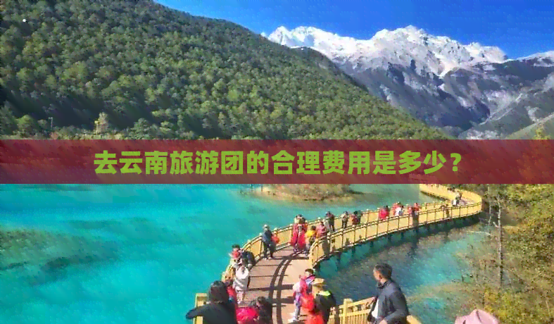 去云南旅游团的合理费用是多少？