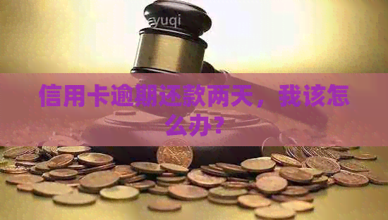 信用卡逾期还款两天，我该怎么办？