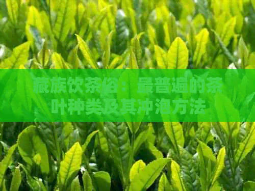 藏族饮茶俗：最普遍的茶叶种类及其冲泡方法