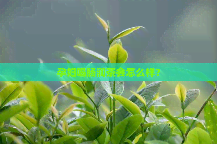 孕妇喝肠润茶会怎么样？